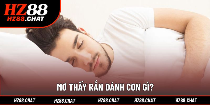 Gợi ý con số chuẩn xác cho từng giấc mộng rắn