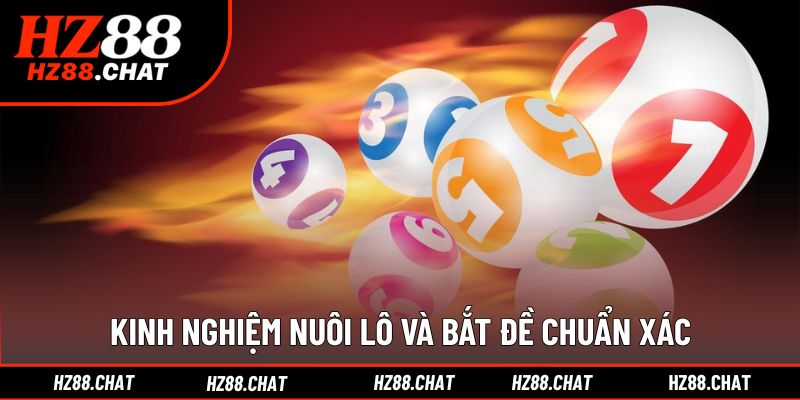 Mẹo nuôi lô và soi đề chính xác hơn tại nhà cái